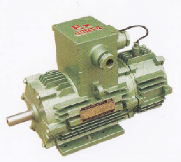 YBZR防爆電動機(jī)